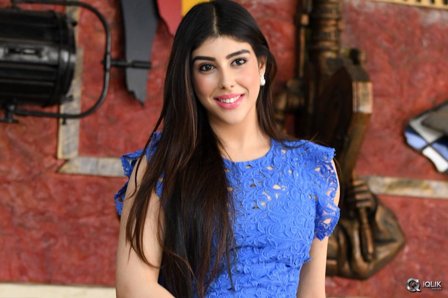 Aditi-Singh-Interview-Abot-Guppedantha-Prema